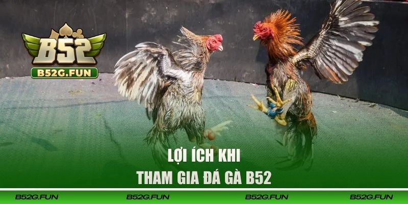 Lợi ích khi khách hàng tham gia đá gà B52