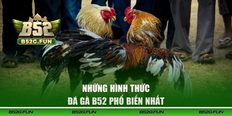 Những hình thức đá gà B52 phổ biến nhất